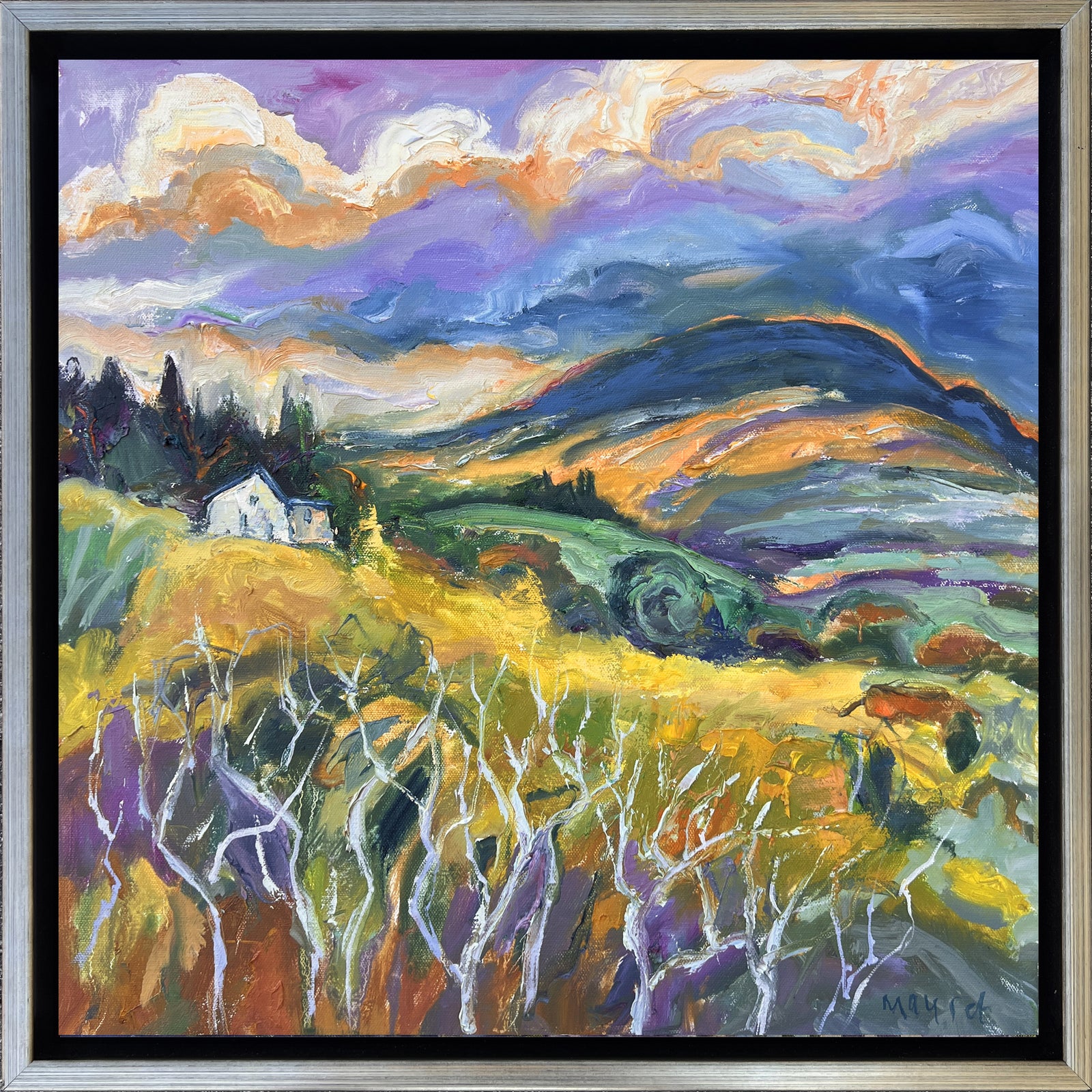 One Day in Connemarra