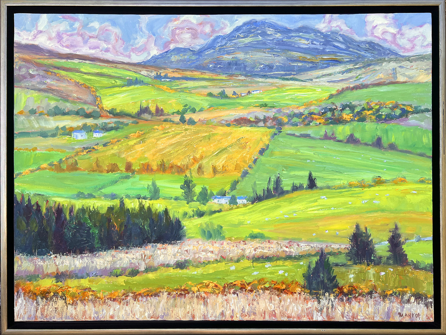 Fields of Donegal