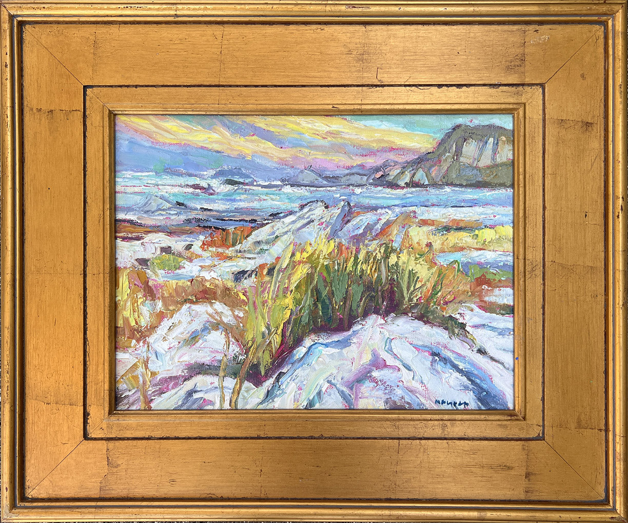 Seal Watching - Kaikoura New Zealand