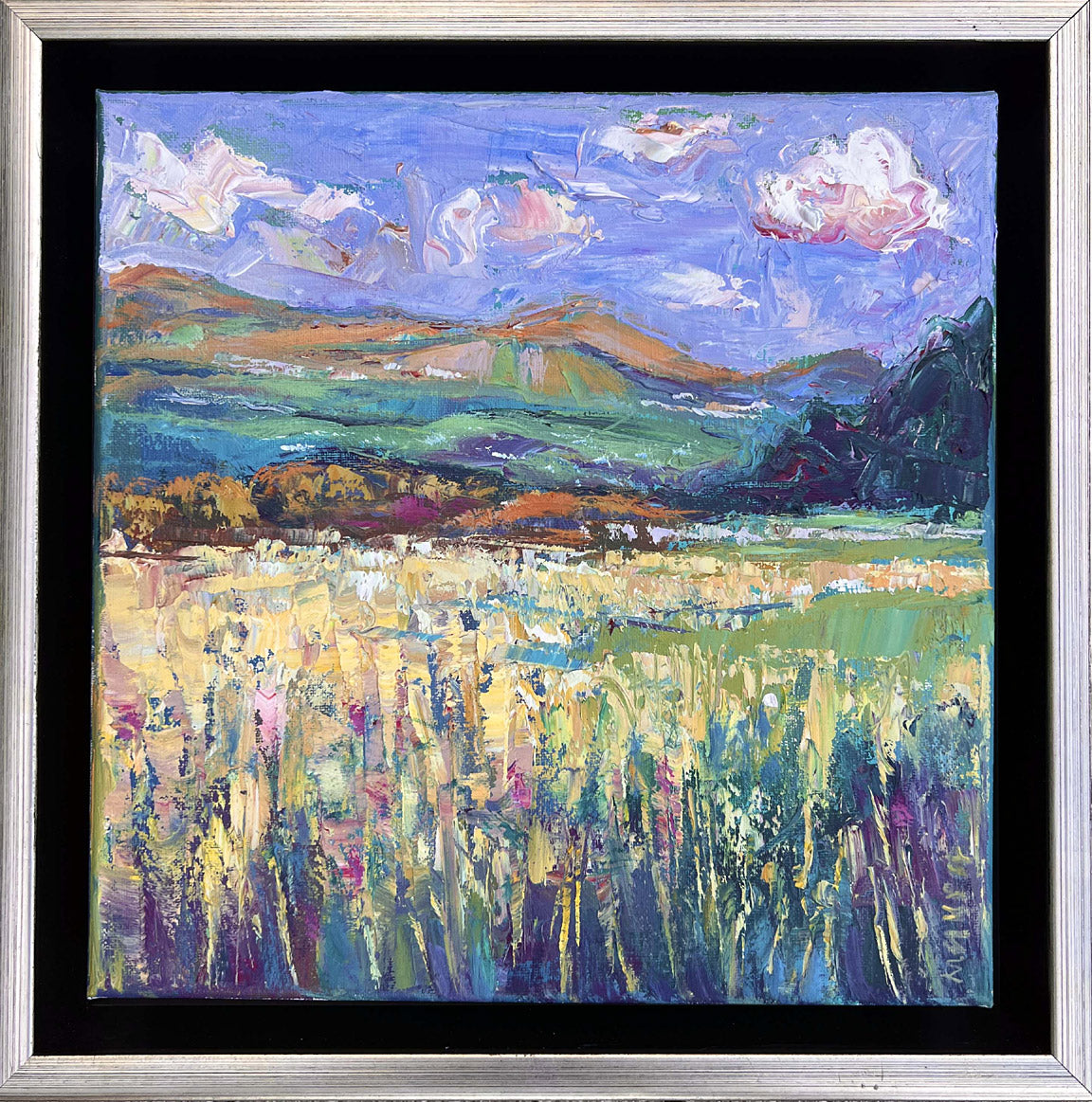 One Day in Co. Kerry