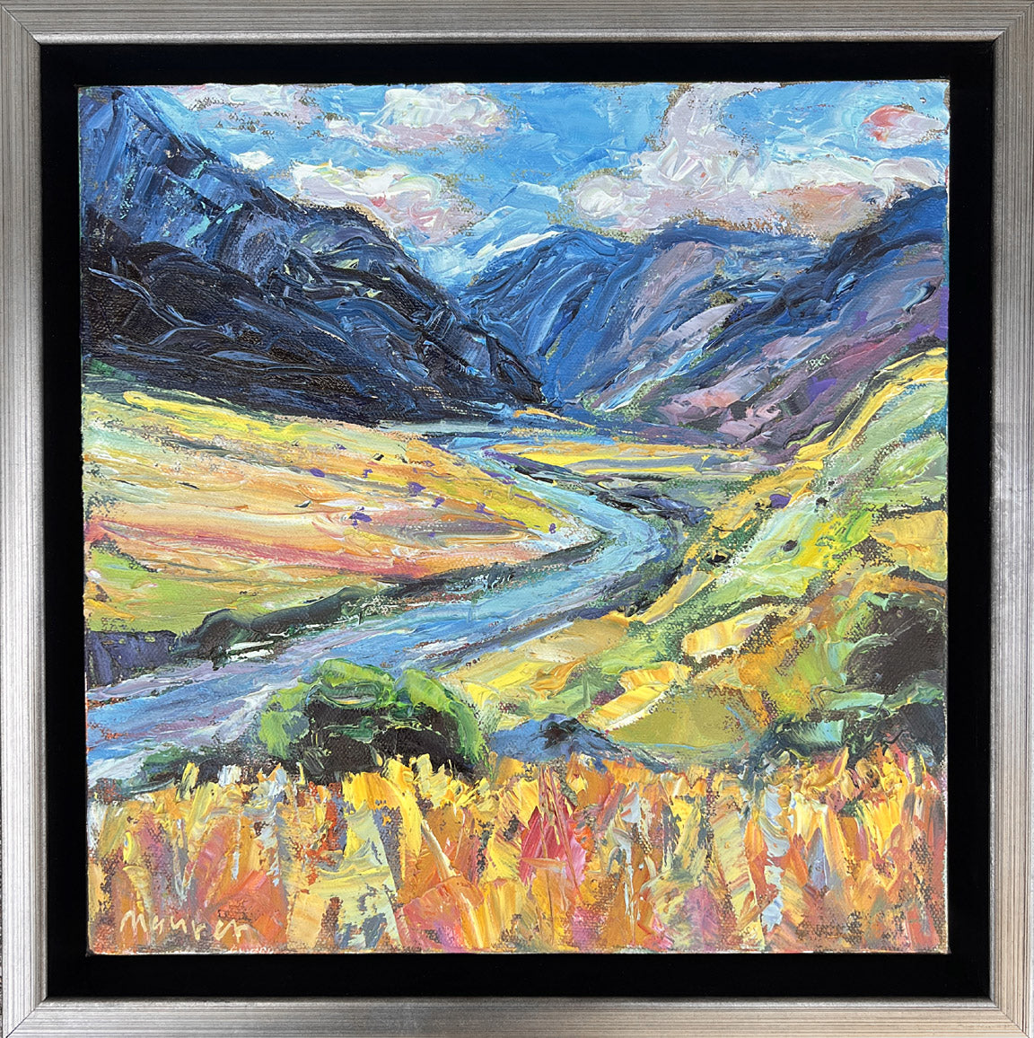 Mount Aspiring N.P. New Zealand