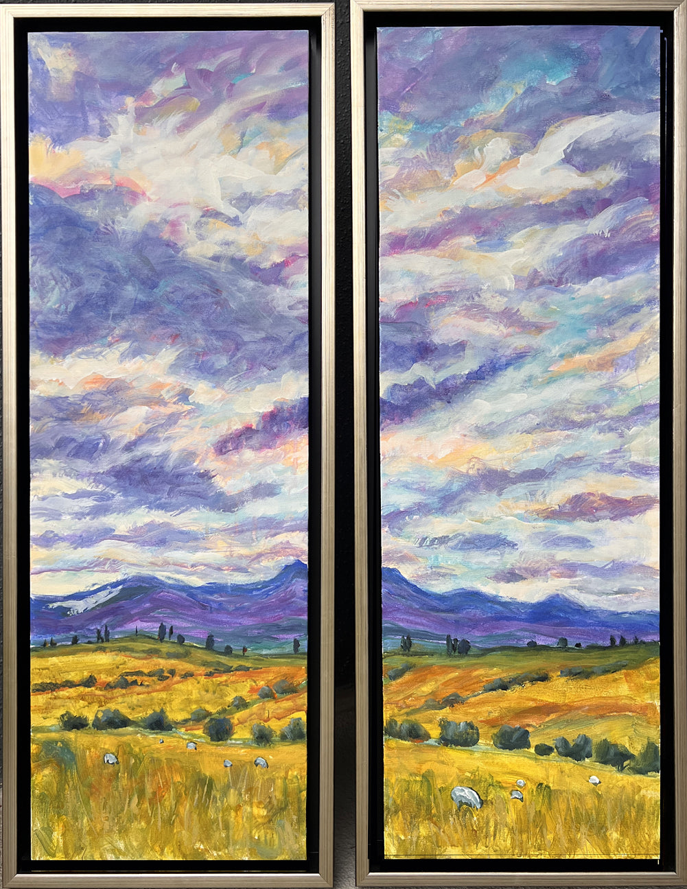 South Island Sky, NZ - diptych