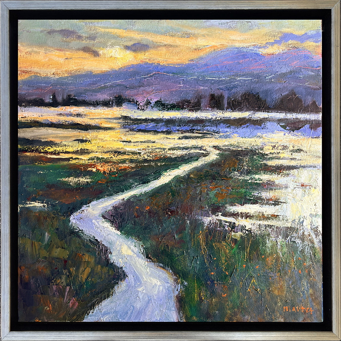 Sundown Stream, Motueka NZ