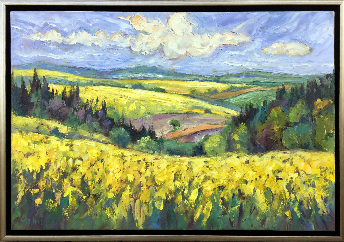 Belgian Canola No. 2