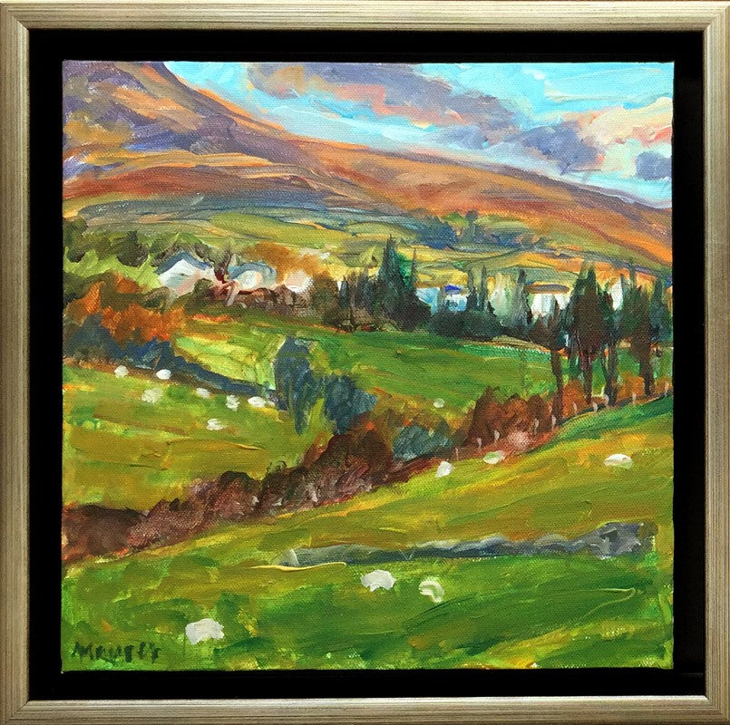 Driving Through Co. Kerry