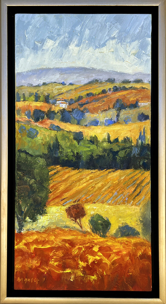 Provence Vines
